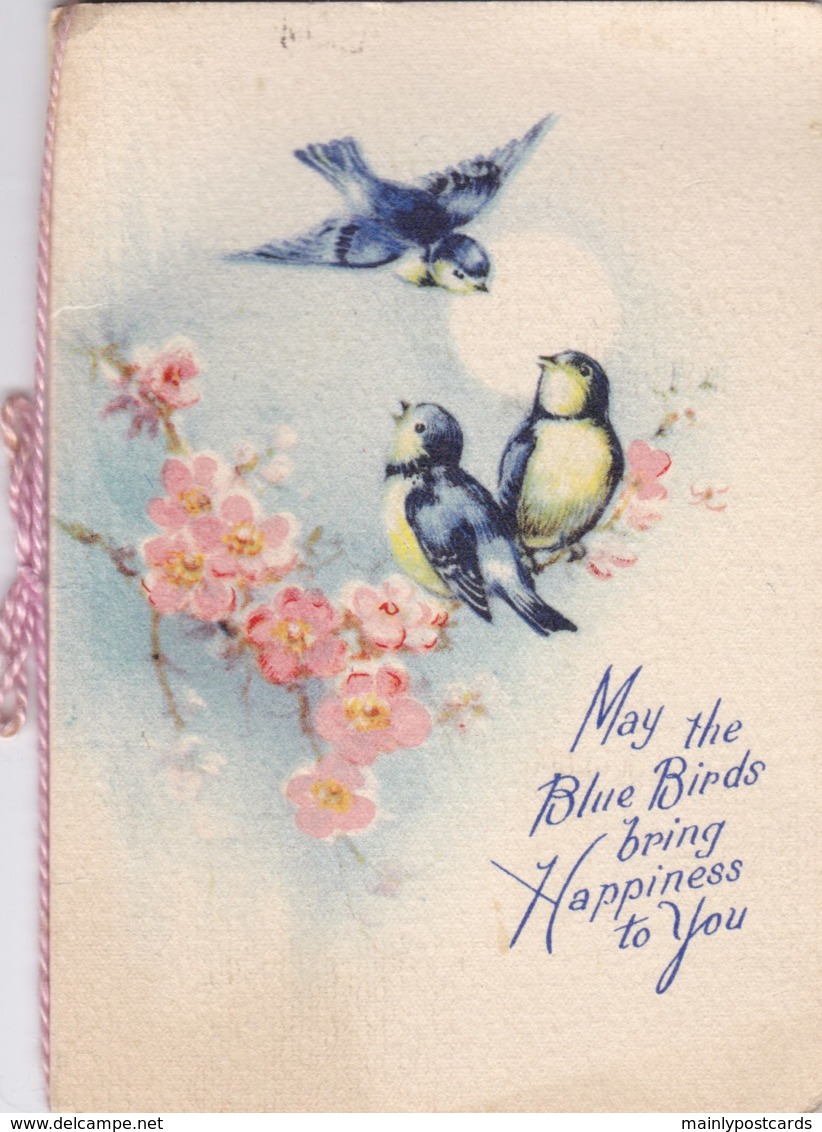 AL32 Birthday Greeting - Blue Tits, Blossom - Animals