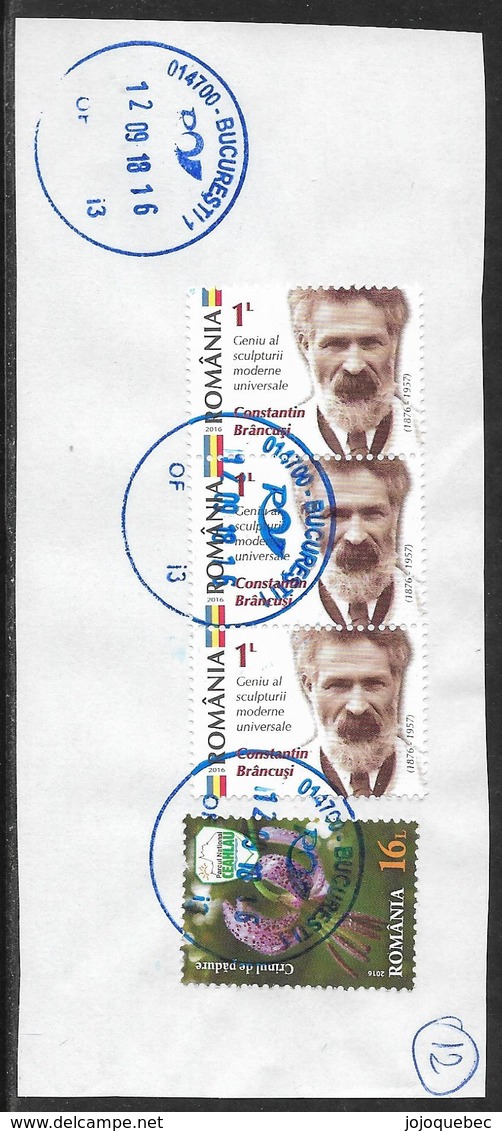 La Roumanie Sur Fragment, Jolie Oblitérations De Bucuresti - Used Stamps