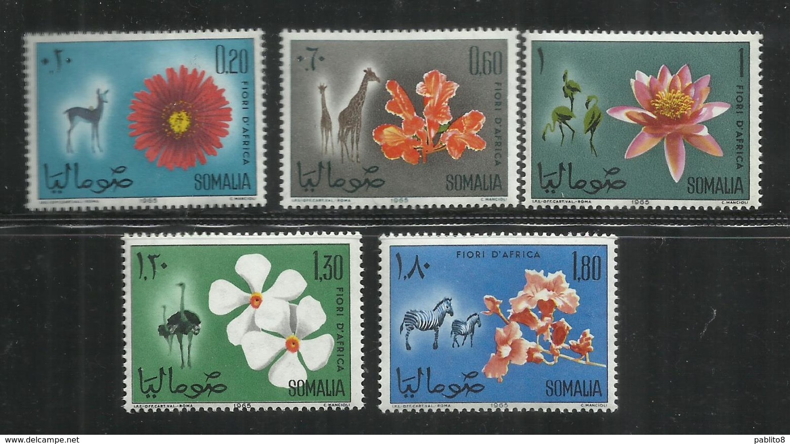 SOMALIA 1965 FLORA FAUNA FLOWERS + ANIMALS - FIORI D'AFRICA + ANIMALI - FLEURS + ANIMAUX MNH POST AFIS - Somalia (1960-...)
