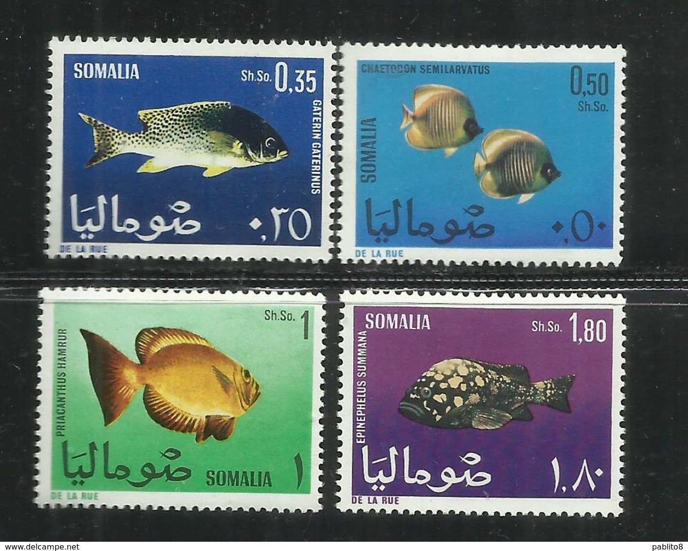 SOMALIA 1967 FAUNA FISHES FISH PESCI PESCE POISSONS POISSON SERIE COMPLETA COMPLETE SET MNH POST AFIS - Somalia (1960-...)