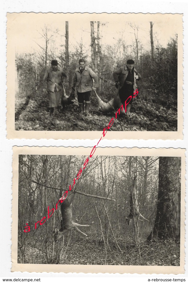 CHASSE En 1960-forêt D'Avaise-prise Chevreuils-2 Photos Format 12,2 X 8,8cm Chaque - Andere & Zonder Classificatie