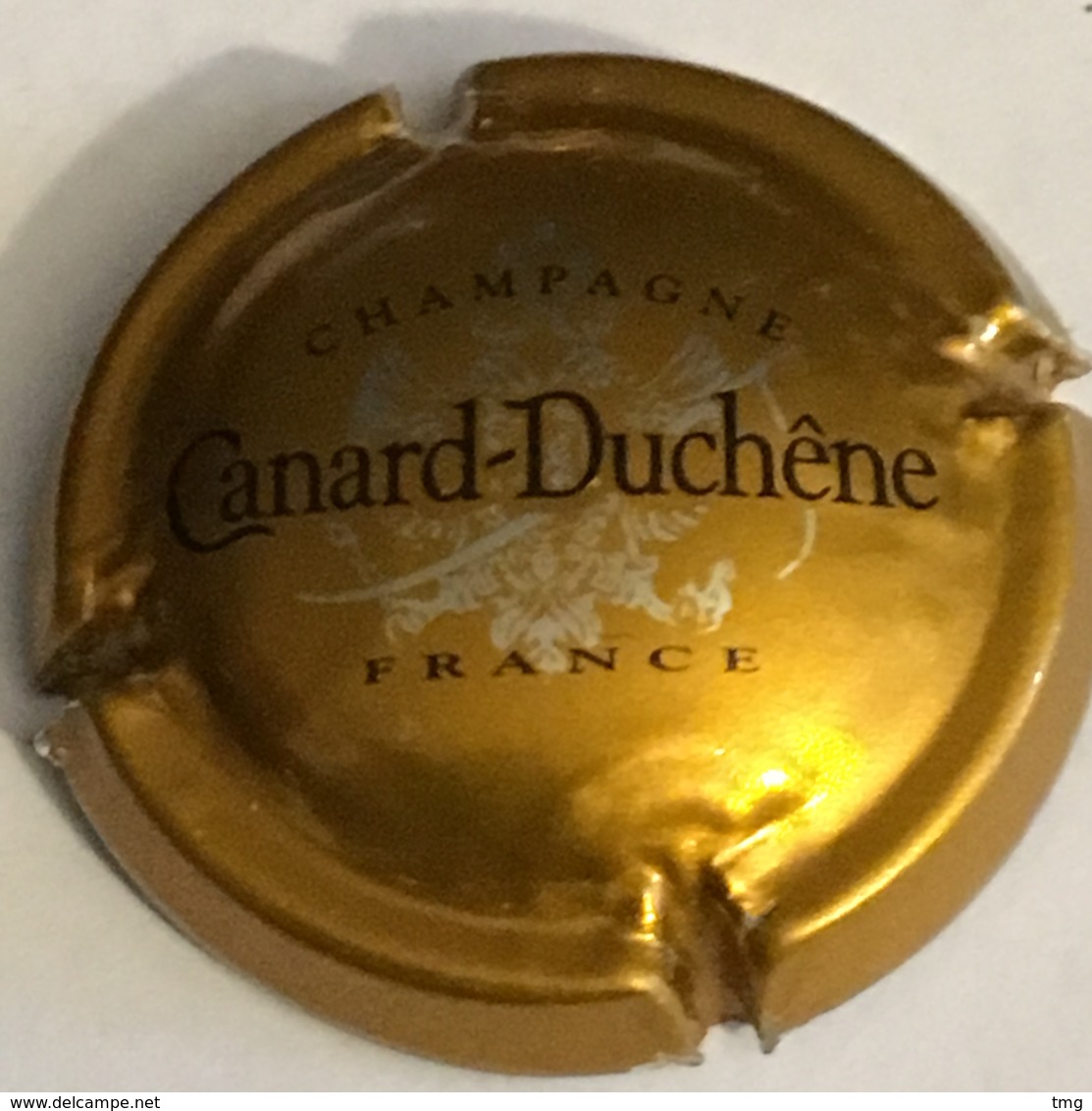 4 - Capsule De Champagne N°75 X2 - Canard-Duchêne, Bronze (petites Lettres & Lettres épaisses) - Canard Duchêne