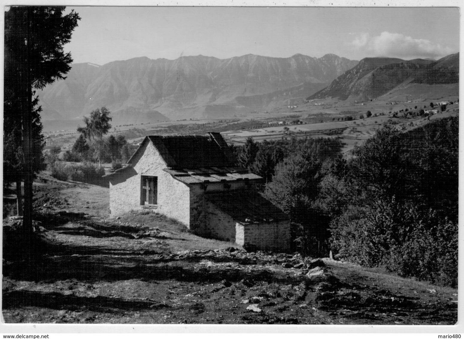 BOSCO  CHIESANOVA  (VR)   PAESAGGIO  CON  IL  M. BALDO            (VIAGGIATA) - Altri & Non Classificati