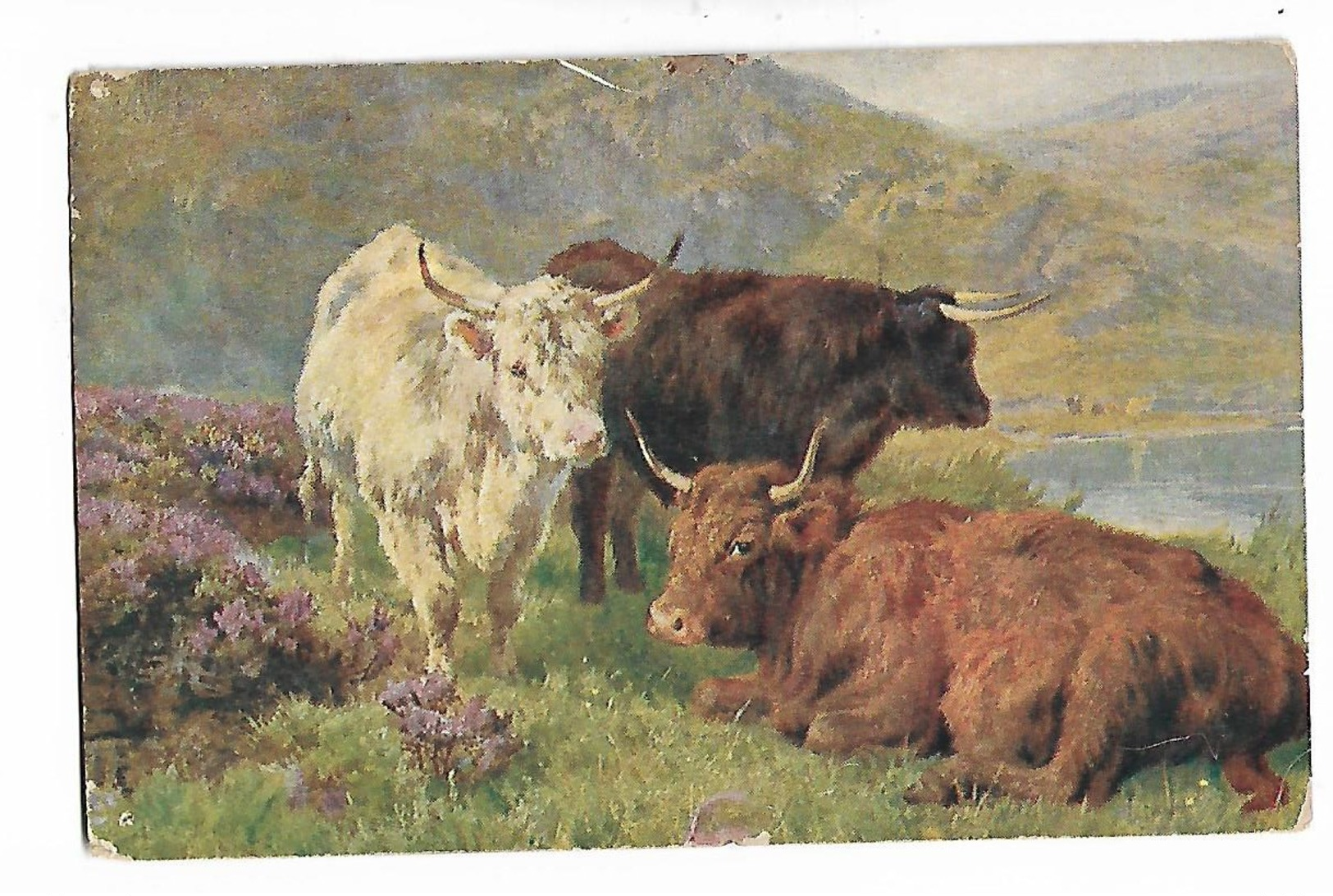 Illustration De  3  Belles  Vaches  Et  Montagnes - Vacas