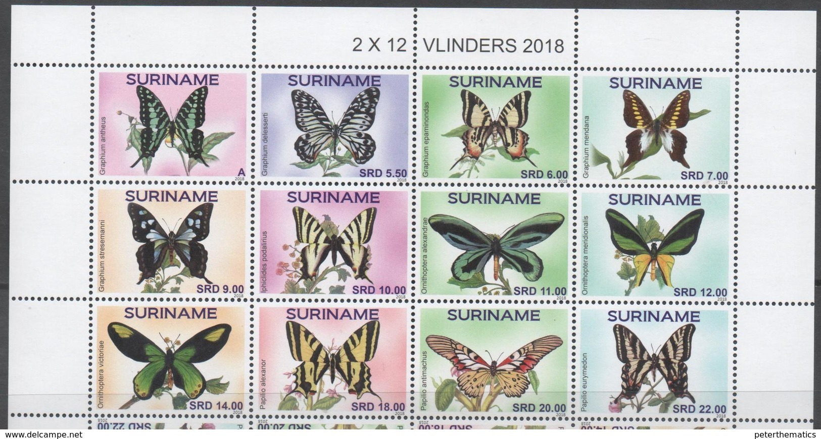 SURINAME, 2018, MNH, BUTTERFLIES, 12v , HIGH FV - Unclassified