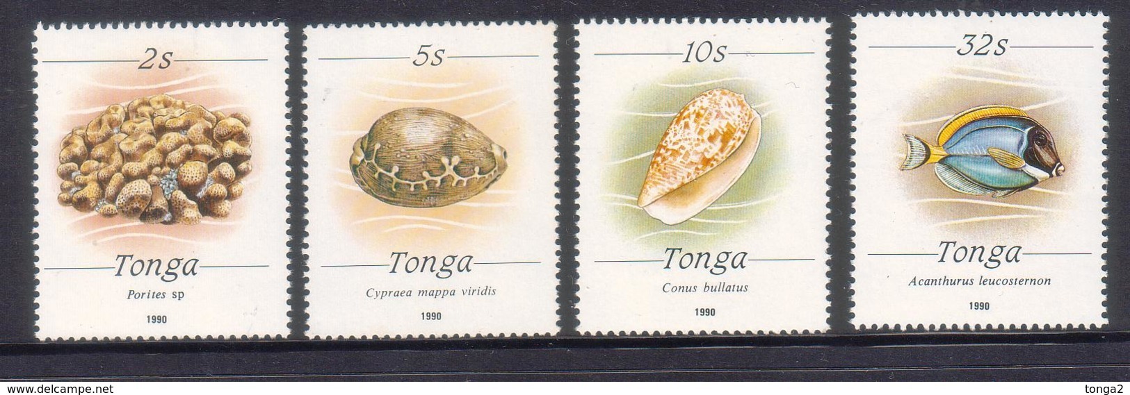 Tonga1990 Large Size Marine Life Set MNH Shell Fish Coral (only Used For 3 Months) - Very Scarce Set - Read Description - Tonga (1970-...)