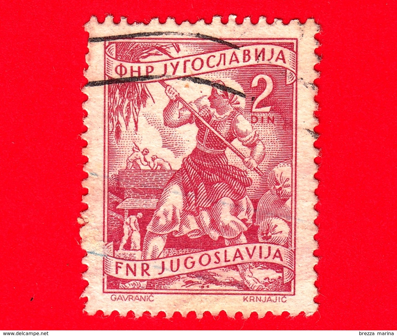 JUGOSLAVIA - Usato - 1952 - Mestieri - Raccolta Dei Frutti - Fruits  - 2 - Usati