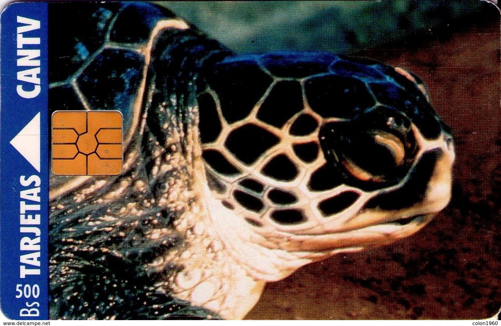 VENEZUELA. CAN2-0060. FAUNA - TORTUGA VERDE. 04-95. (533) - Tortues