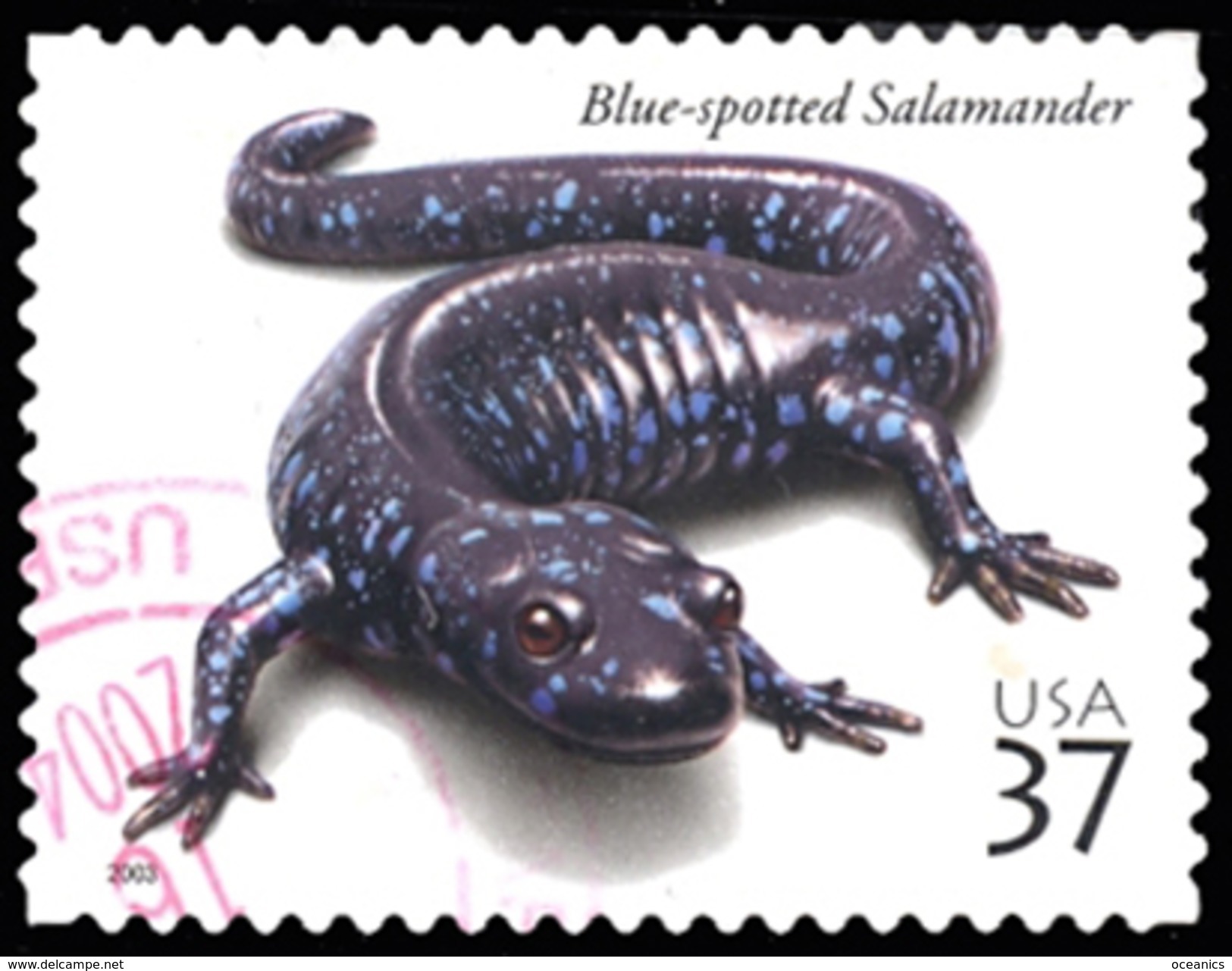 Etats-Unis / United States (Scott No.3815 - Reptiles And Amphibians) (o) - Gebruikt