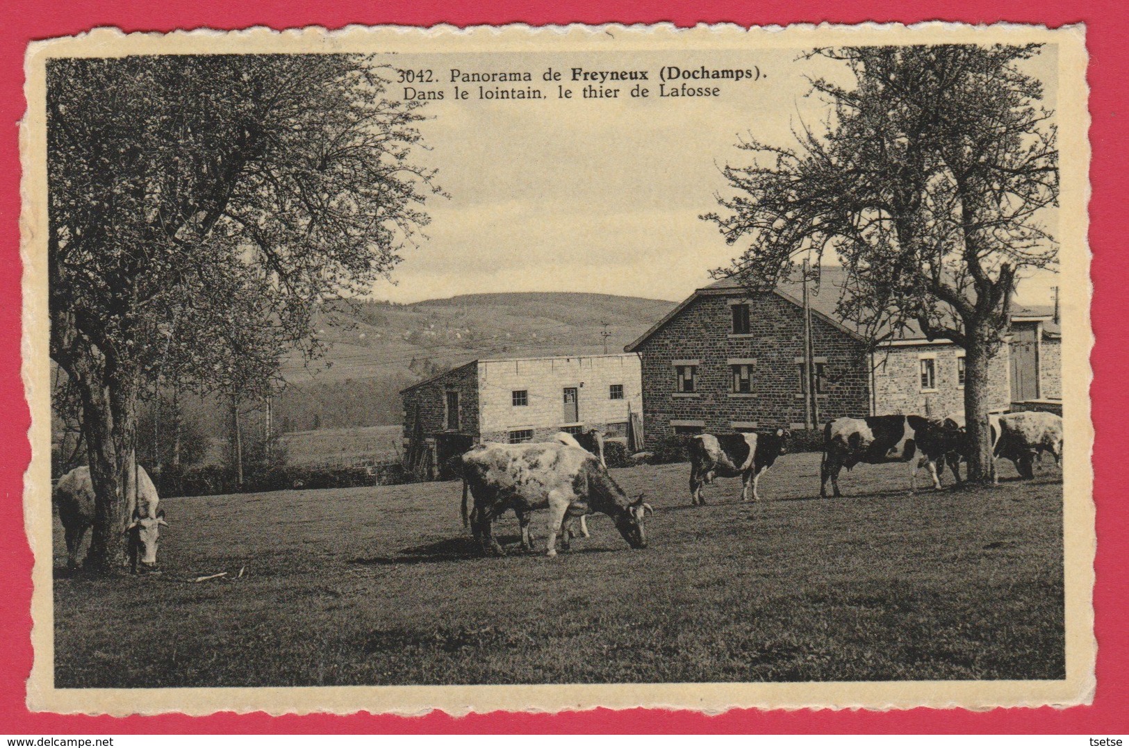 Freyneux ( Dochamps ) - Panorama ... Bucolique - Dans Le Lointain, Le Thier De Lafosse - 1962 ( Voir Verso ) - Manhay