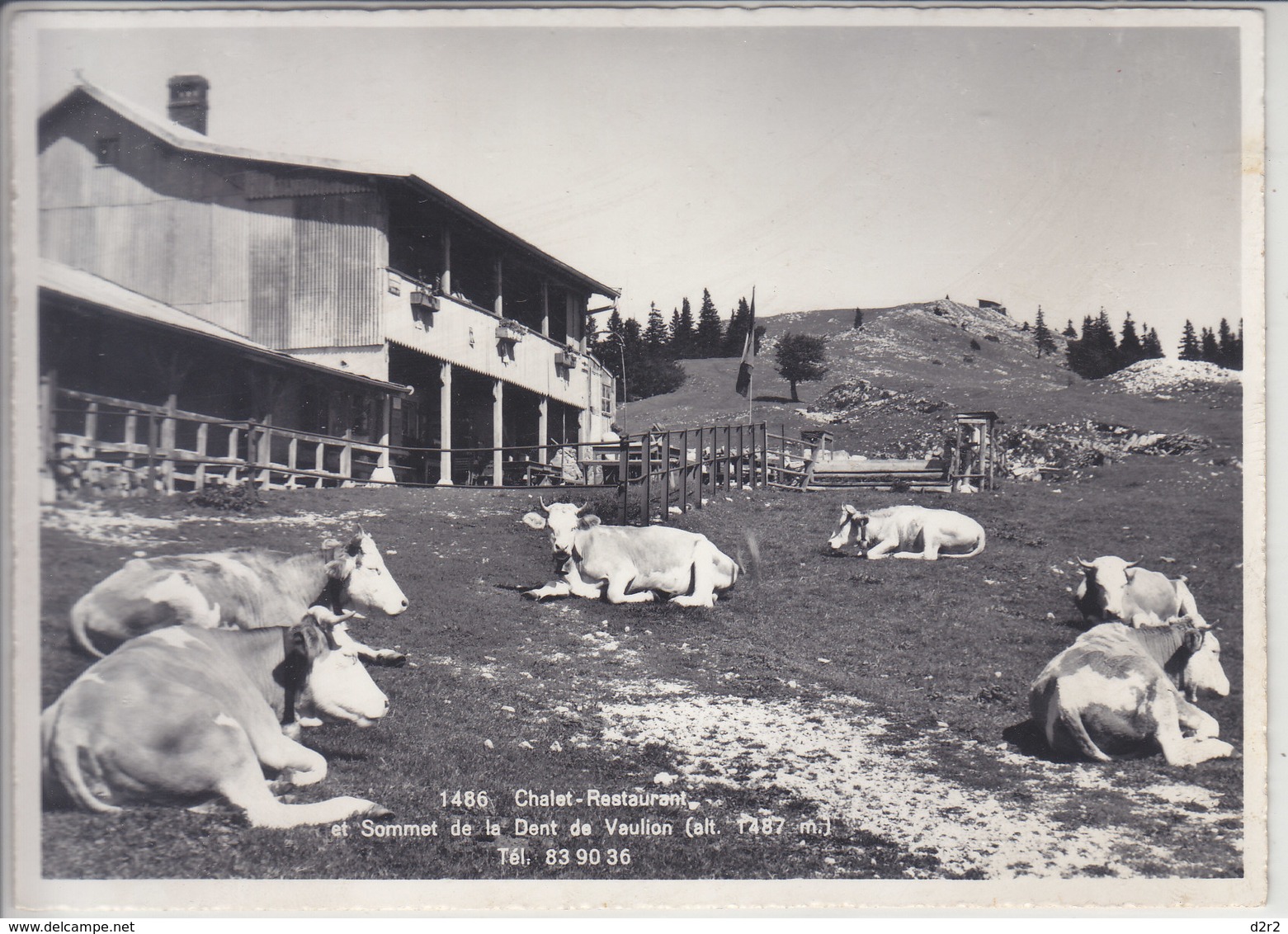 DENT DE VAULION - CAFE RESTAURANT - BETAIL - N/C - Vaulion