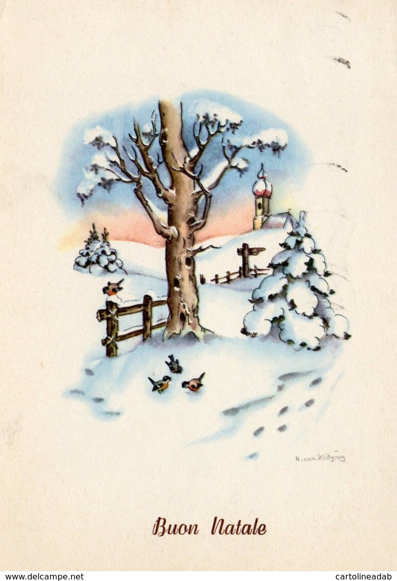 [DC7885] CPA - BUON NATALE - ALBERO DI CAMPAGNA INNEVATO - FIRMATA - Viaggiata 1965 - Old Postcard - Altri & Non Classificati