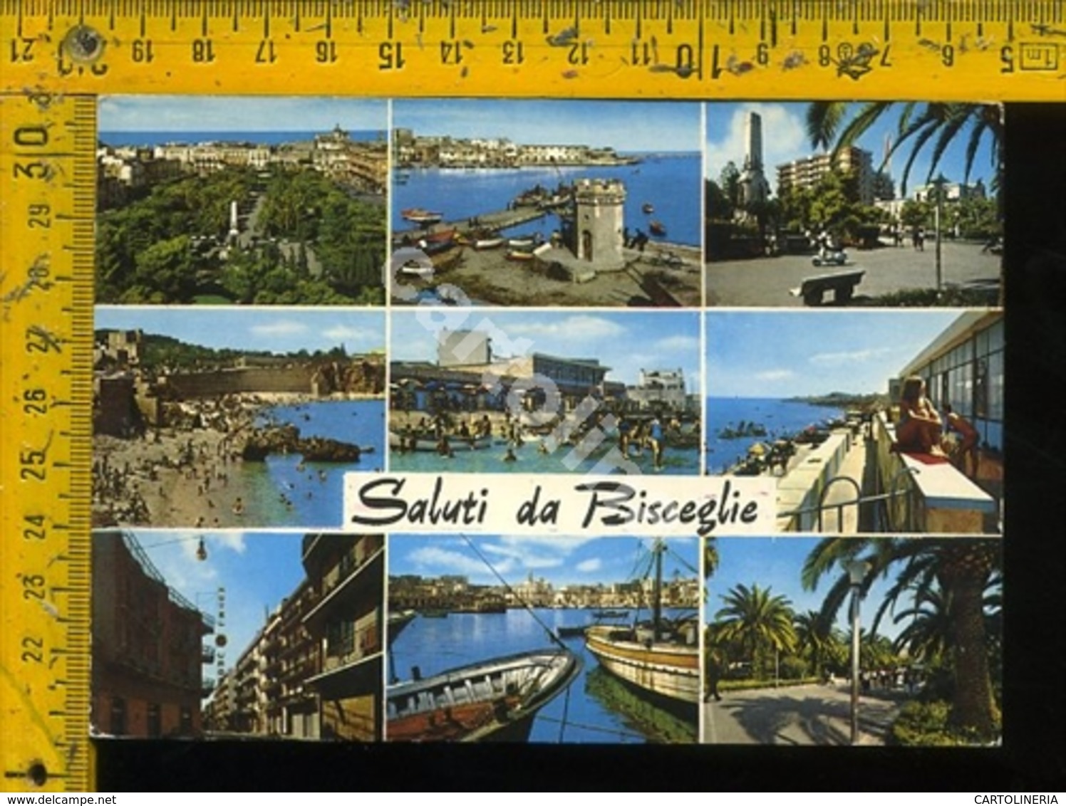 Bari Bisceglie - Bari
