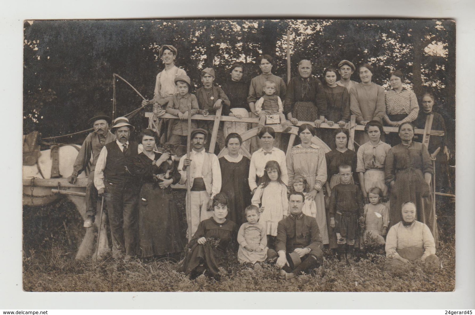 CPA PHOTO VENDANGES - A Situer "Source De MANIGNAN" Ou...; à Noter Peu D'hommes Agés Ou Très Jeunes - Photographie