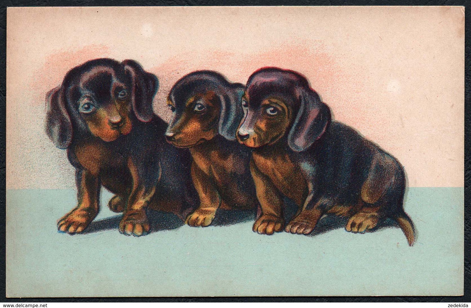 B8886 - TOP Litho Glückwunschkarte - Hund Dackel Teckel - Geburtstag