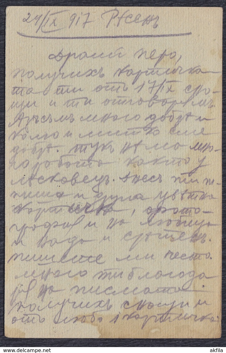 WWI Bulgaria Occupation Of Serbia 1917 Censored Postal Stationery Sent To Leskovac - Guerra