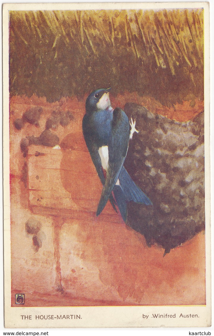 BIRDS: 'The House-Martin' By Winifred Austen  - (1956) - England - Vögel