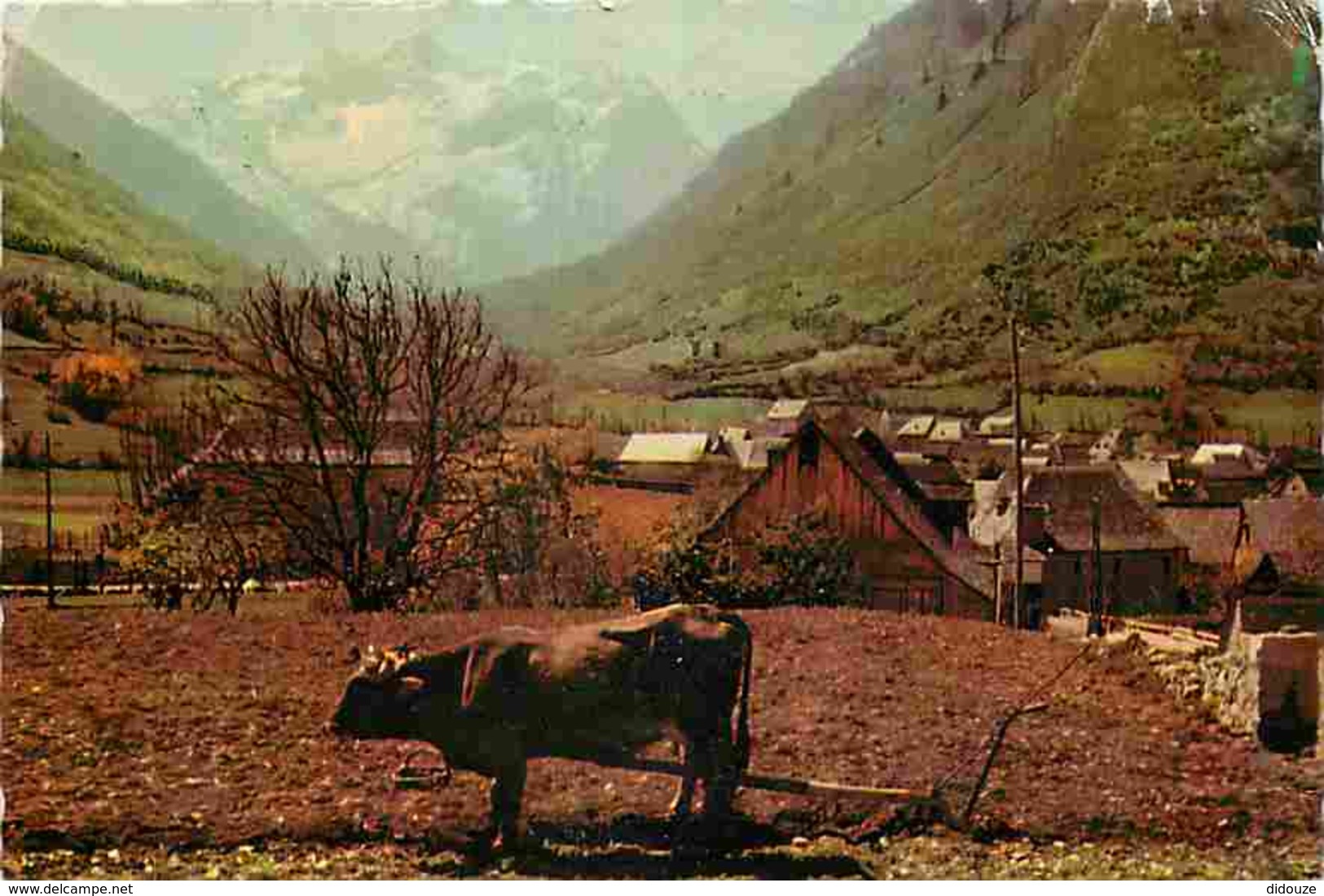 Animaux - Vaches - Espagne - Espana - Valle De Aran - Artiés Y El Montarto - Etat Pli Visible - Voir Timbre - Voir Scans - Vaches