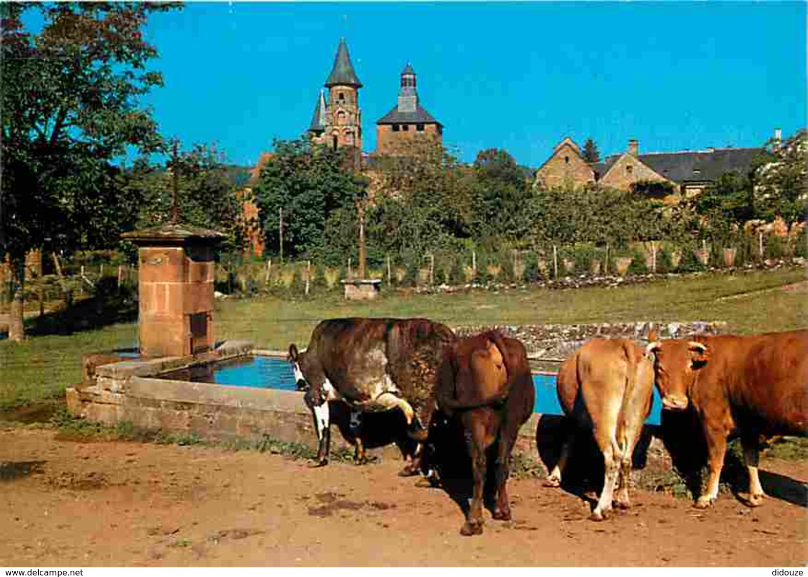 Animaux - Vaches - Corrèze - Collonges La Rouge - Le Cimitière Grand - Abreuvoir - Voir Scans Recto-Verso - Cows