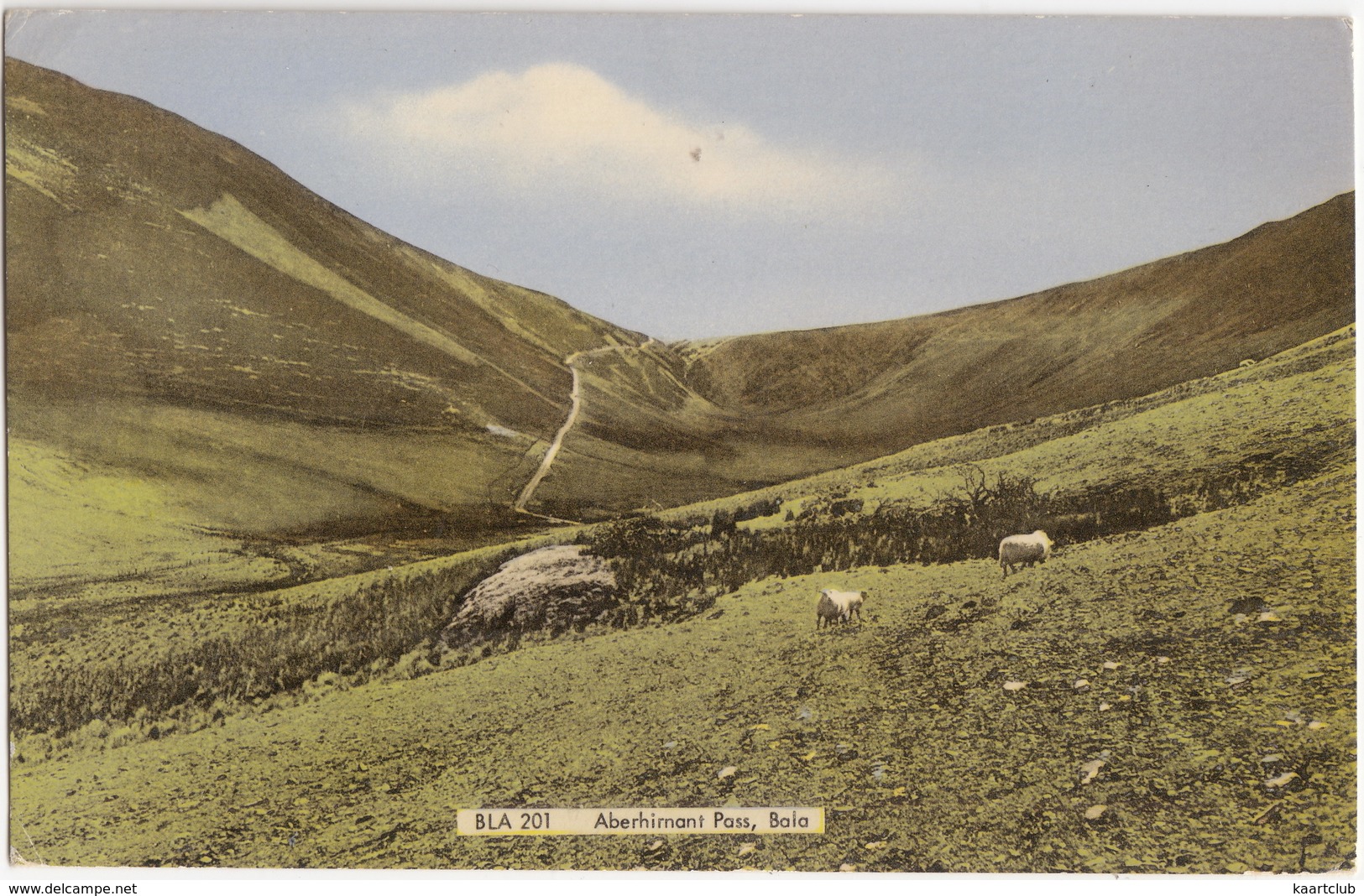 Aberhimant Pass, Bala - (Wales) - Caernarvonshire