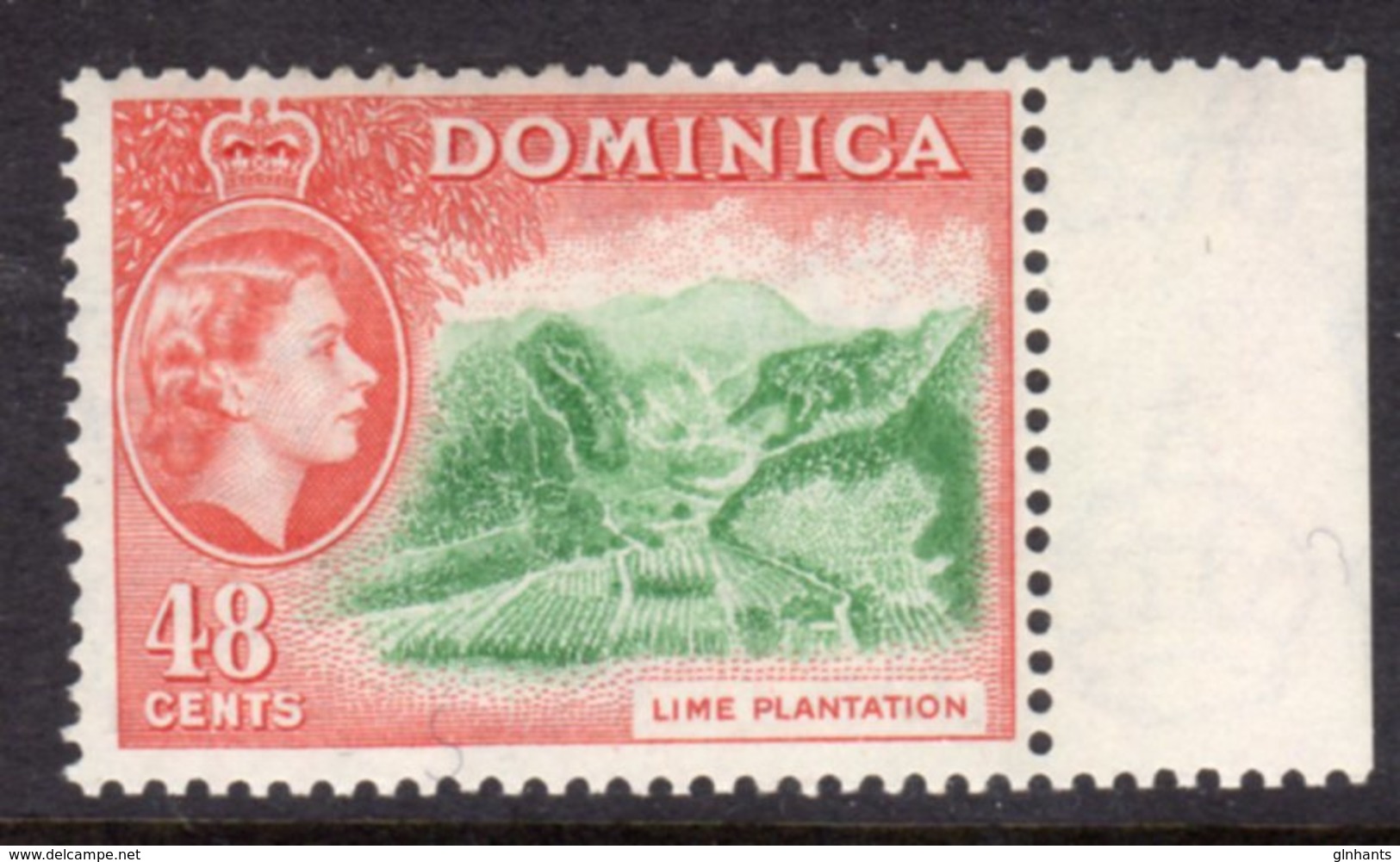 DOMINICA - 1954 QE II DEFINITIVE 48c STAMP FINE MNH ** SG154 - Dominica (...-1978)