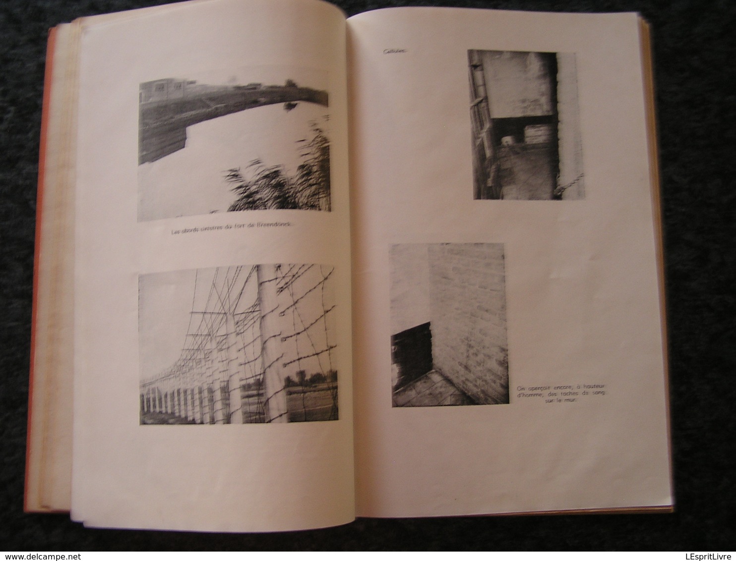 LES CRIMES DE GUERRE Le Camp de Torture de Breendonck Régionalisme Guerre 40 45 Prison Prisonniers de Guerre