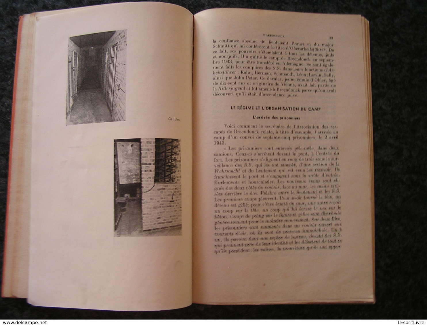 LES CRIMES DE GUERRE Le Camp de Torture de Breendonck Régionalisme Guerre 40 45 Prison Prisonniers de Guerre