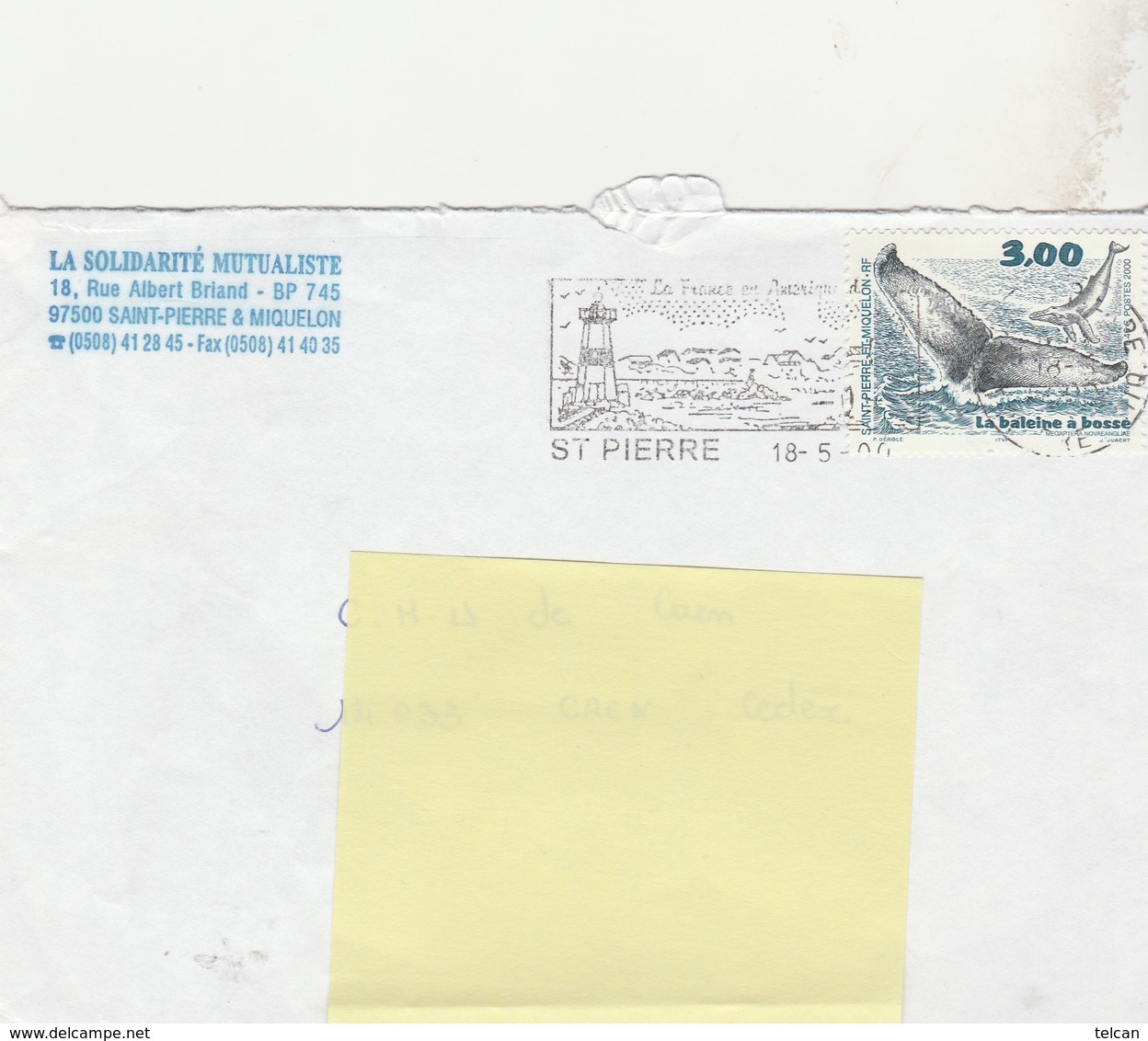 La Baleine à Bosse 1998 - Lettres & Documents