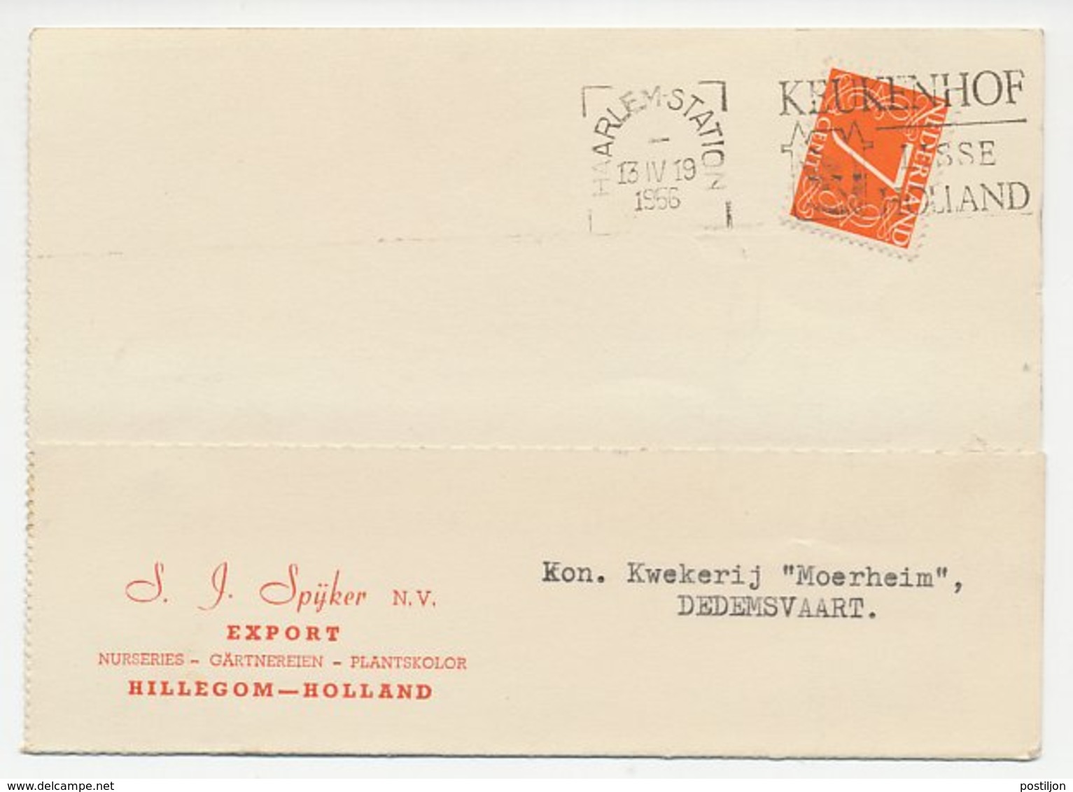 Firma Briefkaart Hillegom 1956 - Kwekerij - Non Classés