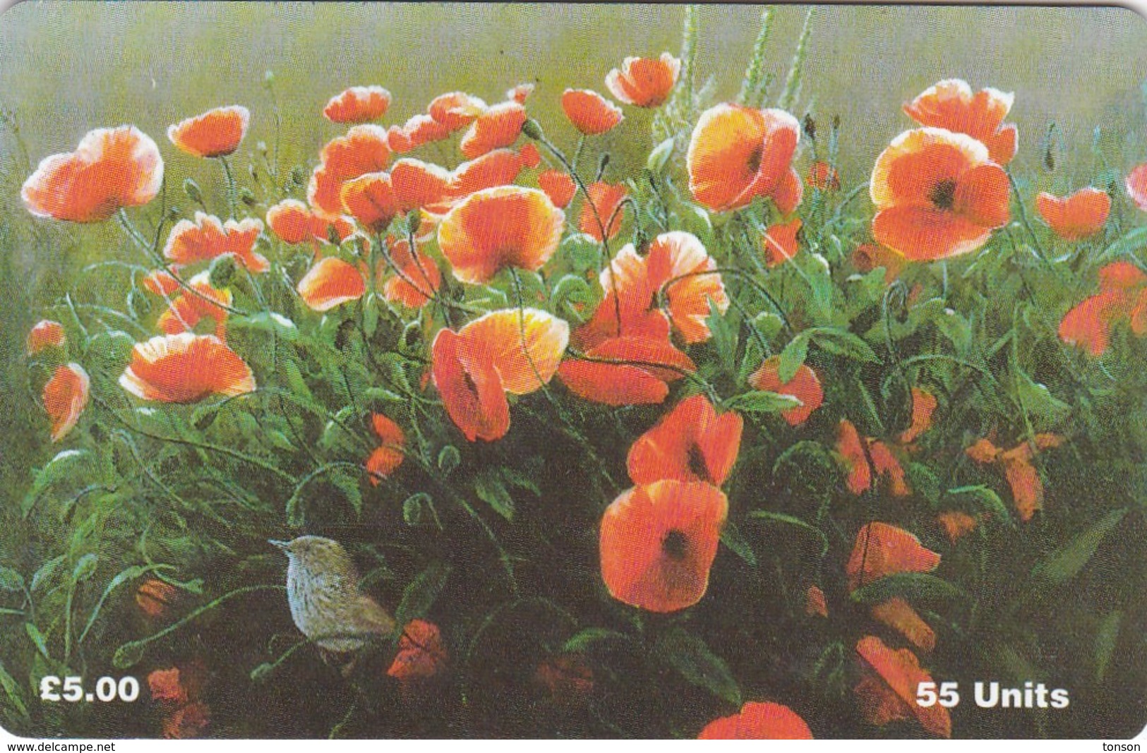 Isle Of Man, MAN 122, Poppies, Flowers, Bird, 2 Scans. - Man (Eiland)