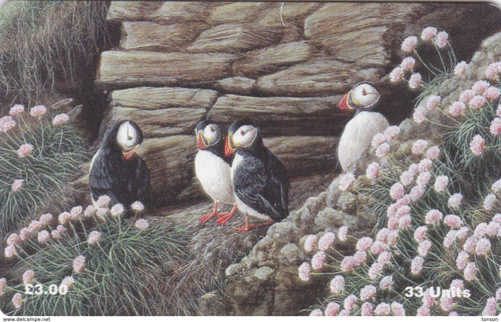 Isle Of Man, MAN 123, Puffins, 2 Scans. - Man (Ile De)