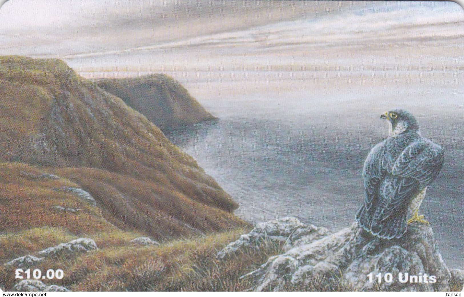 Isle Of Man, MAN 116, Peregrine Falcon, Bird, 2 Scans. - Man (Ile De)
