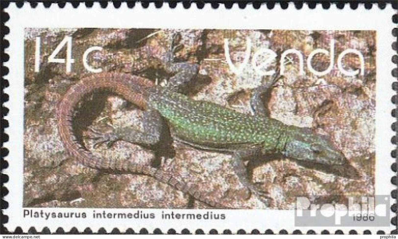 Südafrika - Venda 137 (kompl.Ausg.) Postfrisch 1986 Freimarke: Reptilien - Venda