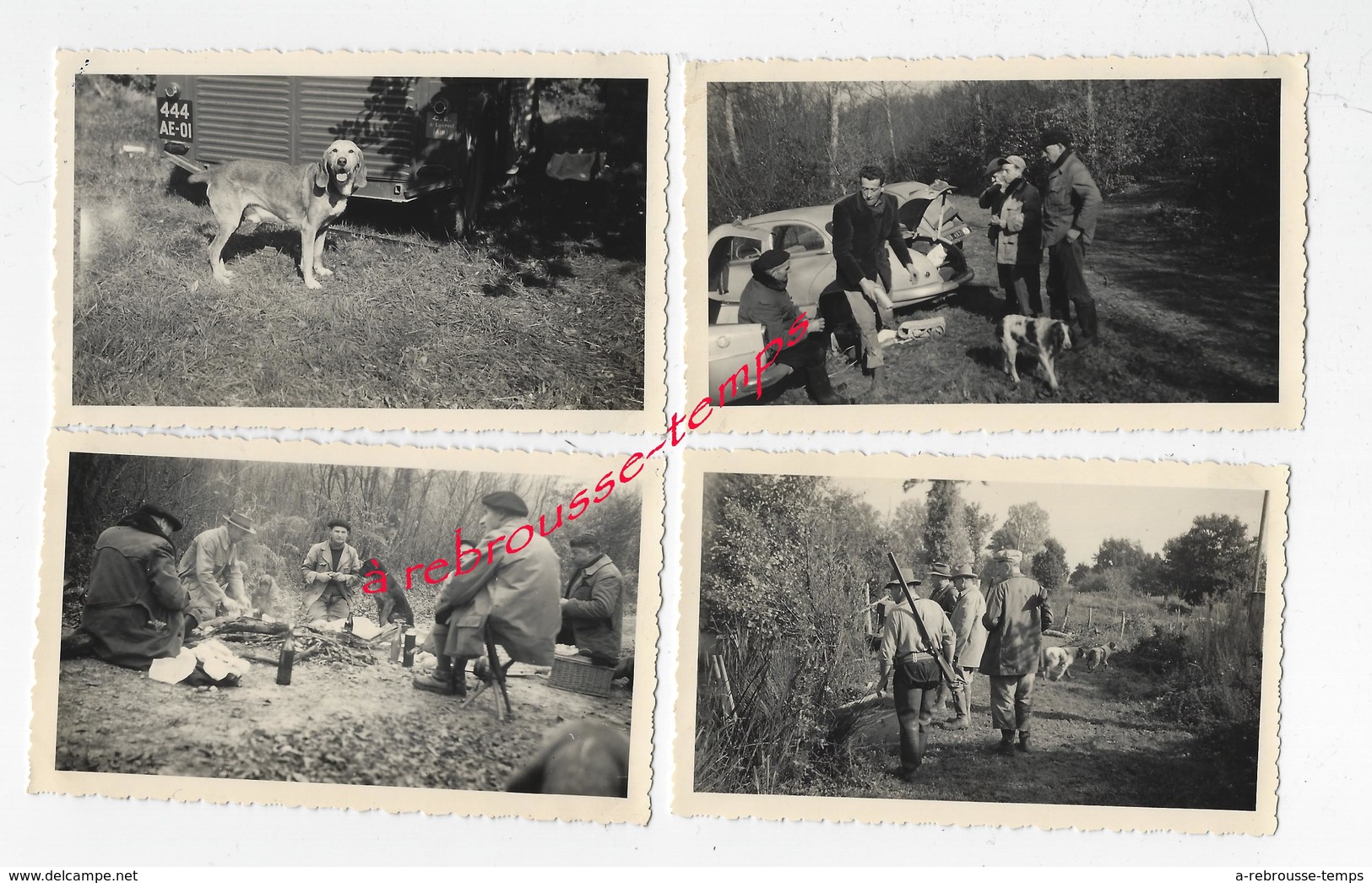 CHASSE En 1955 , 1956 Et 1959- Diverses Photos De Chasseurs-chiens-pique Nique-forêt D'Avaise Et Villars - Otros & Sin Clasificación