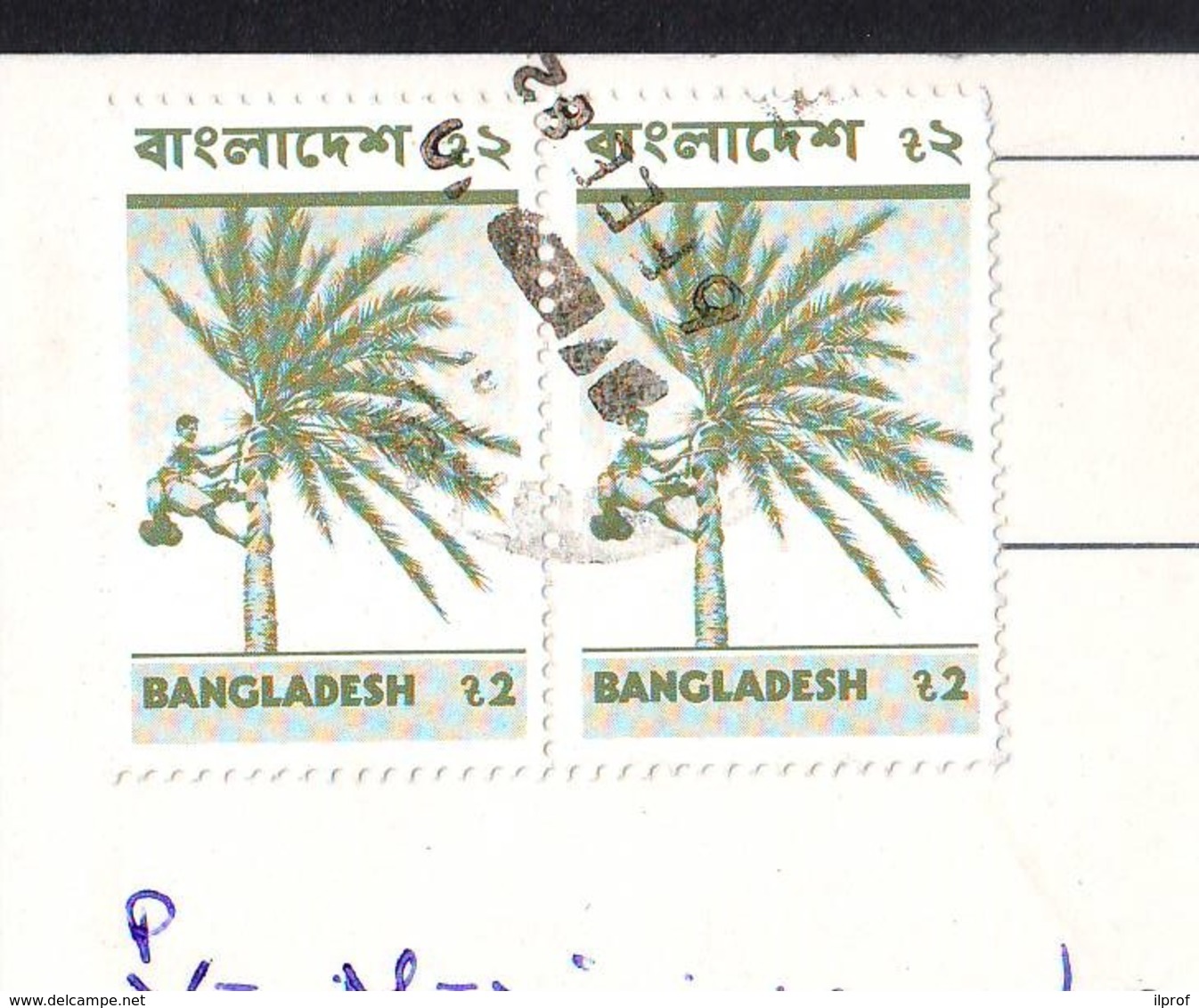 Man And Coconut Tree2 Stamps Val. 2 R.1981/82 Bangladesh On Postcard - Bangladesh