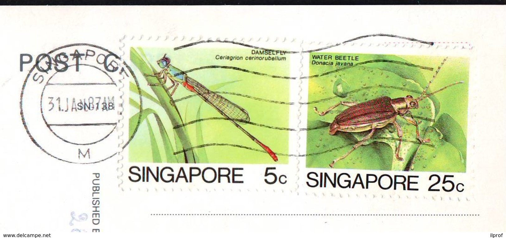 Insects  2 Stamps  Val. 5c And 25 C  On Postcard Singapore 1987 - Singapore (1959-...)