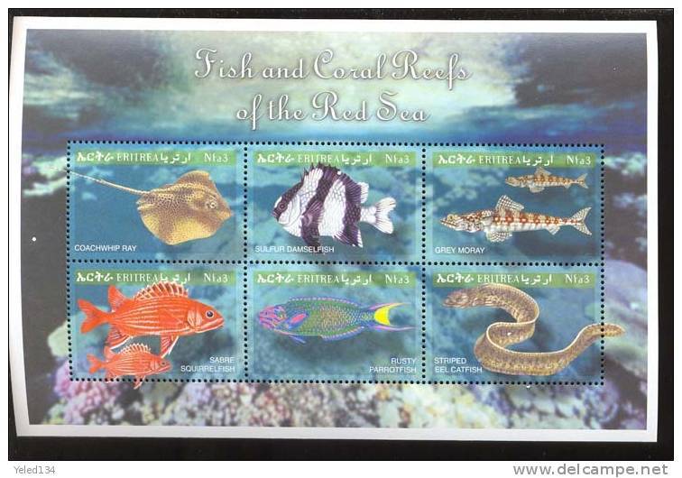 ERITREA    332 MINT NEVER HINGED MINI SHEET OF FISH-MARINE LIFE  #  M-177-1   ( - Vissen