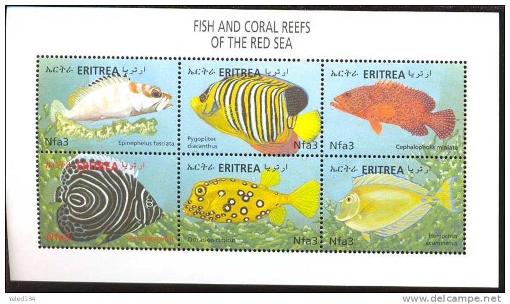 ERITREA    335 MINT NEVER HINGED MINI SHEET OF FISH-MARINE LIFE - Pesci