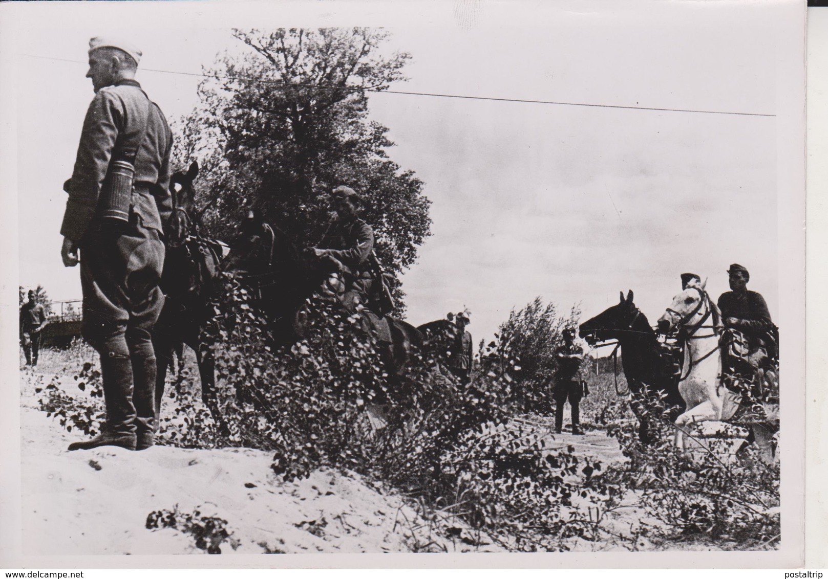 REITERSPAHTRUPP GEHT IM OSTEN VOR      1941  FOTO DE PRESSE - Guerra, Militares