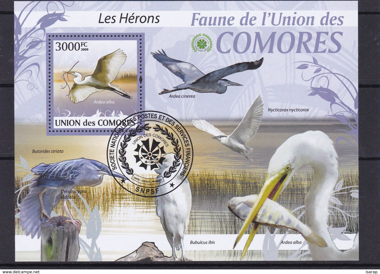 2009 - Union Des Comores - Brids / The Herons - Marine Web-footed Birds