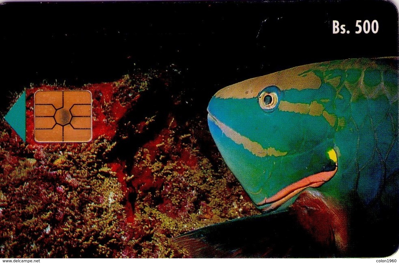 TARJETA TELEFONICA DE VENEZUELA. FAUNA MARINA. PEZ LORO, CAN2-0031-2a (606) - Peces