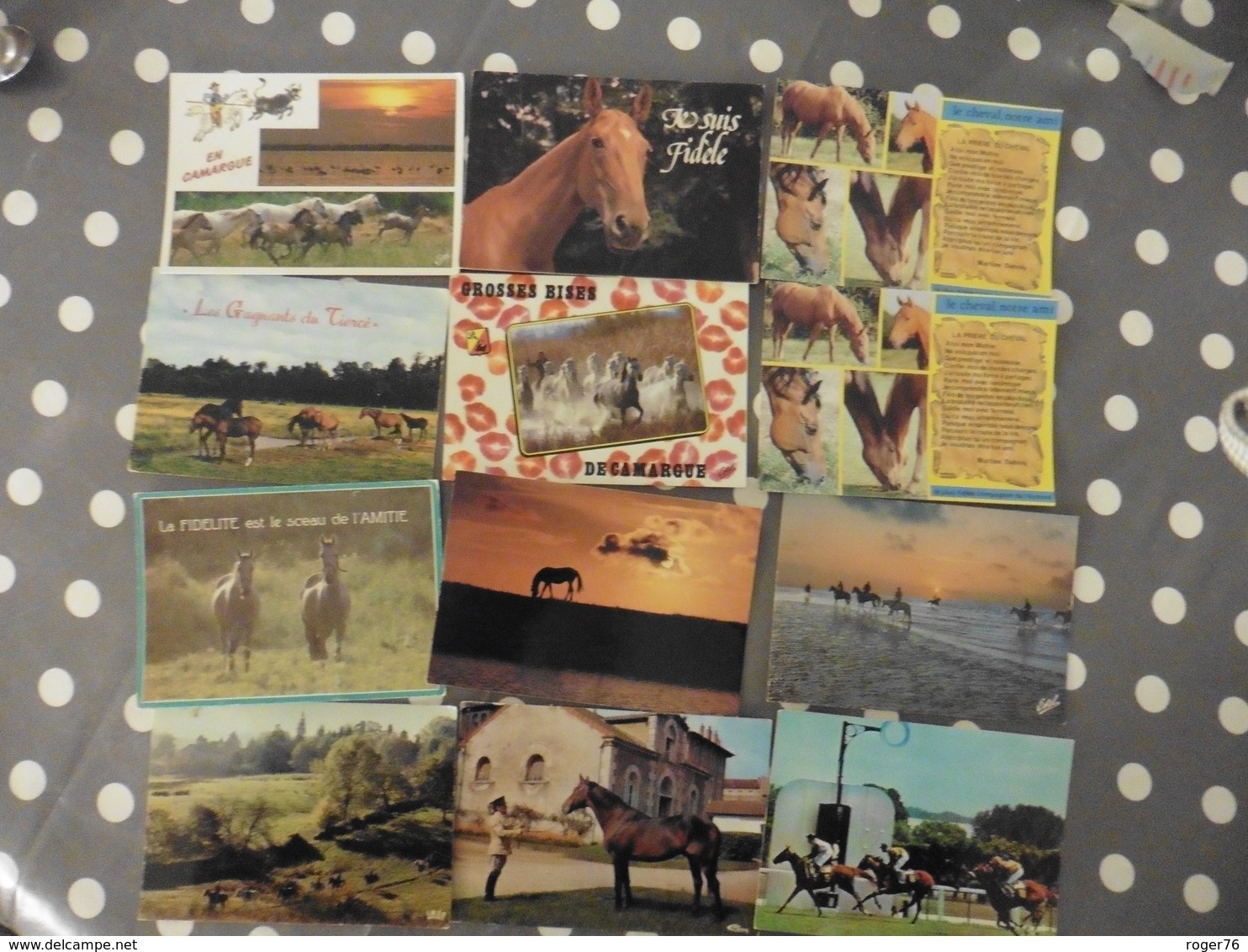 LOT  DE 59 CARTES POSTALES  DE CHEVAUX - 5 - 99 Cartes