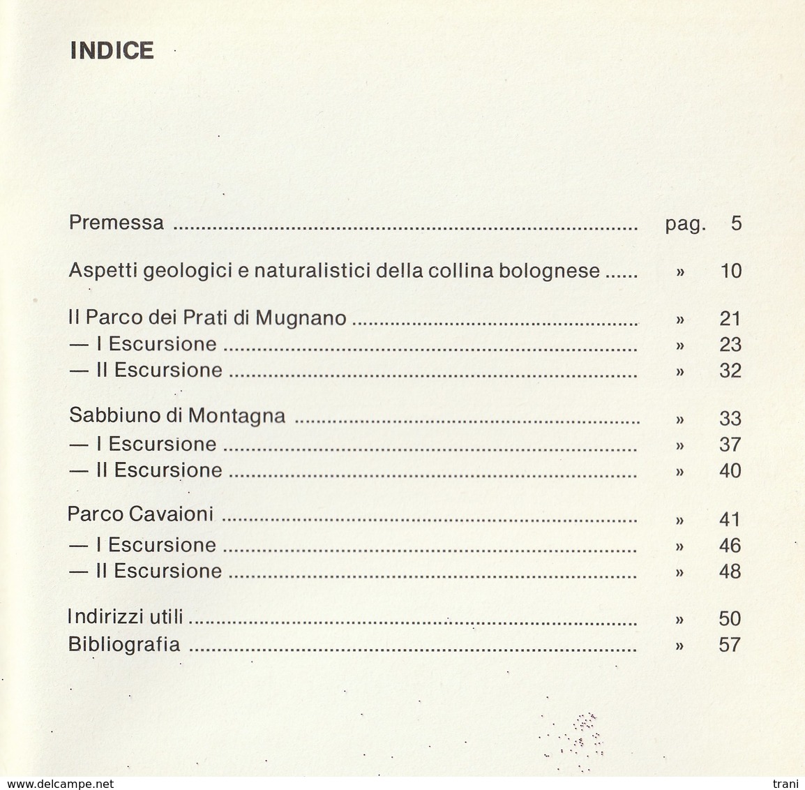 IN FILA INDIANA - BOLOGNA - ESCURSIONI DIDATTICHE - Altri & Non Classificati