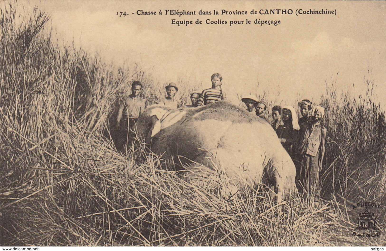 COCHINCHINE VIET NAM  Chasse à L'éléphant Dans La Province De Cantho - Vietnam