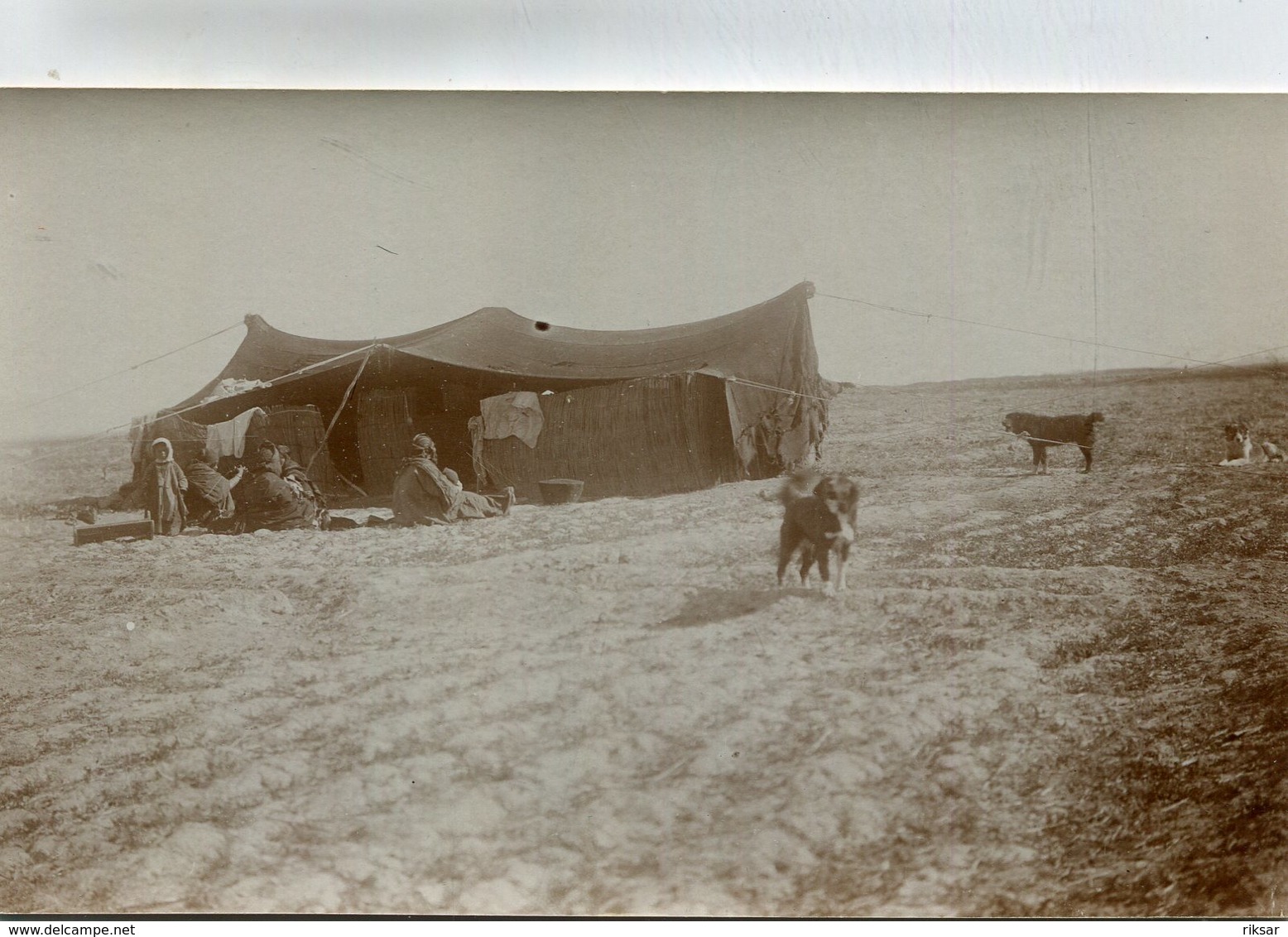 IRAQ(CARTE PHOTO) BAGDAD - Iraq