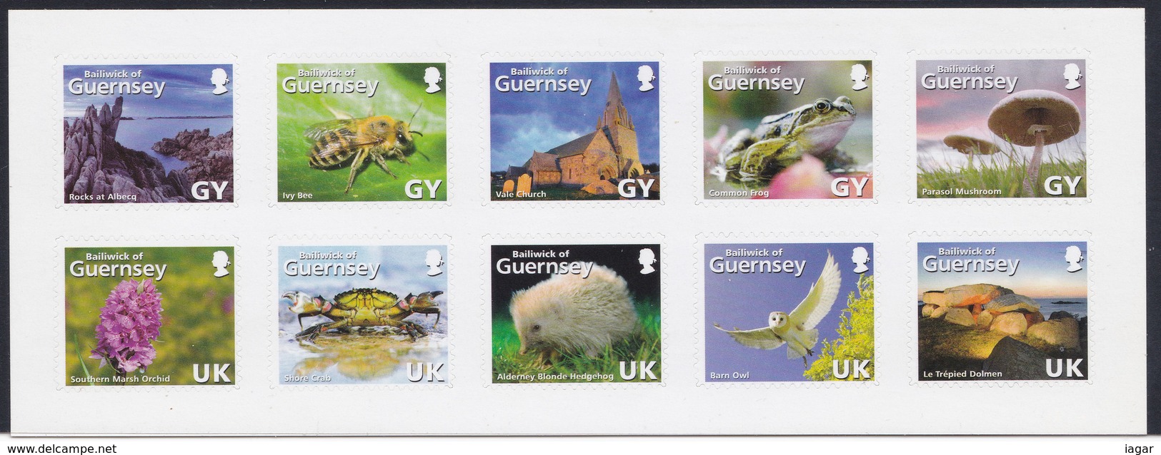 GUERNSEY 2007 125° ANNIVERSARIO SOCIETE GURNESIAISE FLORA FAUNA E VEDUTE - Abeilles