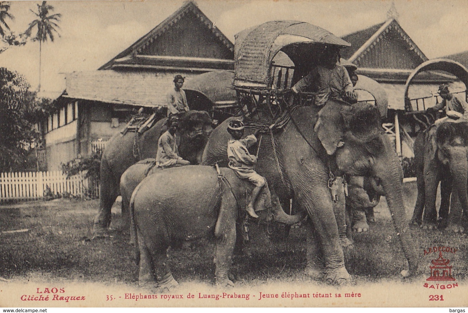 Laos éléphants Royaux De Luang Prabang - Laos