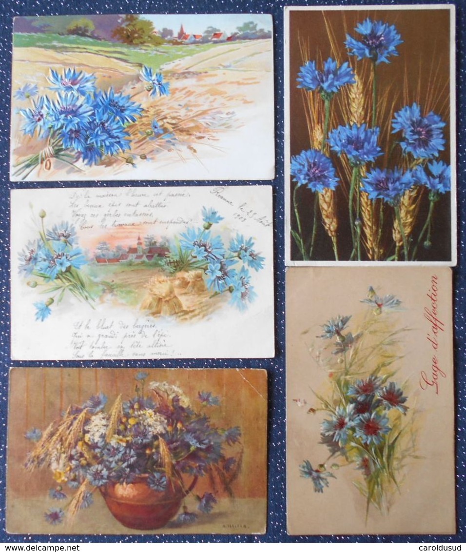 Cpa Lot 5x Litho Relief Illustrateur Voeux Art Nouveau Klein Stehli A&MB KVIB Fleurs Epis Et  Bleuet  1900 1903 1907 - Collezioni E Lotti