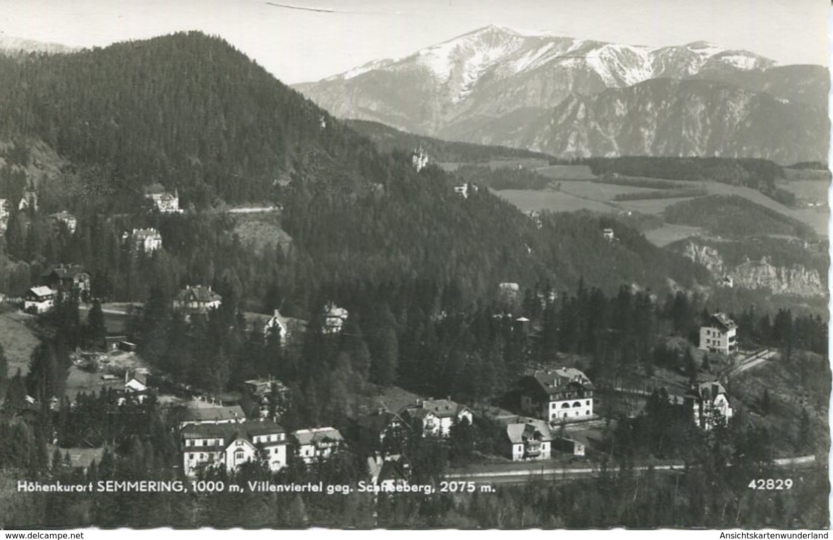 005866  Höhenkurort Semmering - Villenviertel Gegen Schneeberg - Semmering