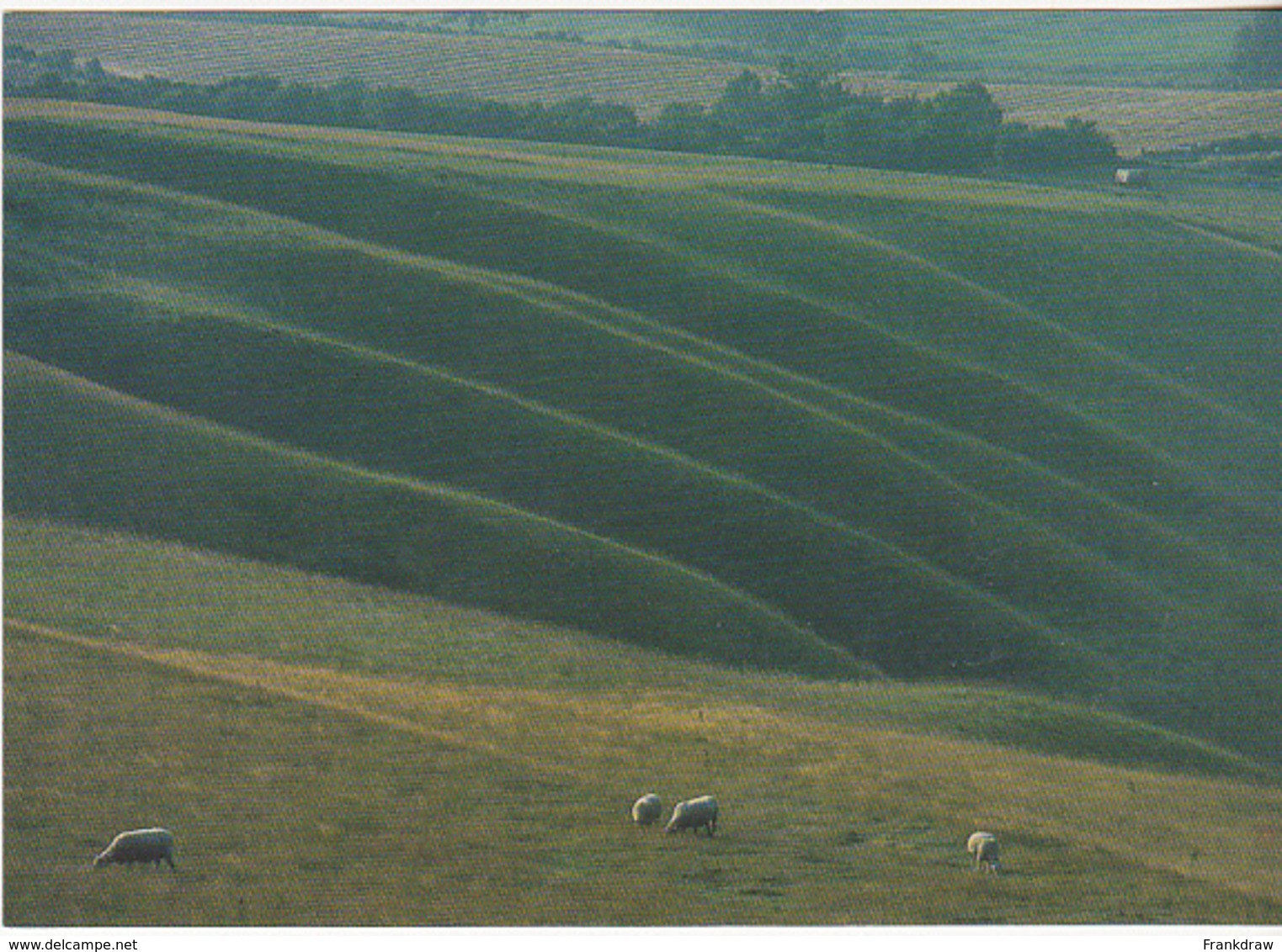 Postcard - A View Of Wessex, At Uffington Castle, Berkshire - Photo By Colin Molyneux - Card No.Wes 005 - VG - Unclassified